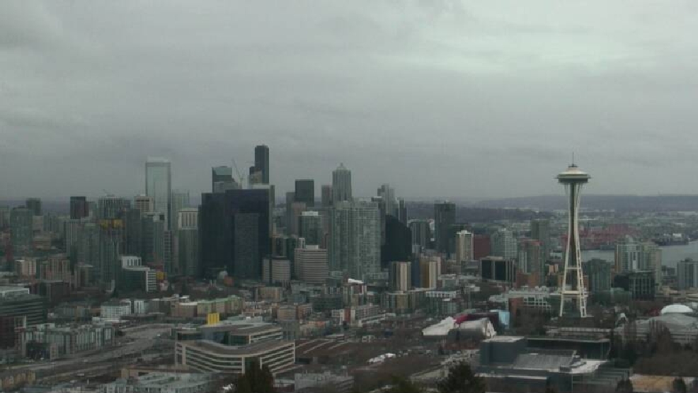 Impress at the water cooler with this gaggle of Seattle winter weather