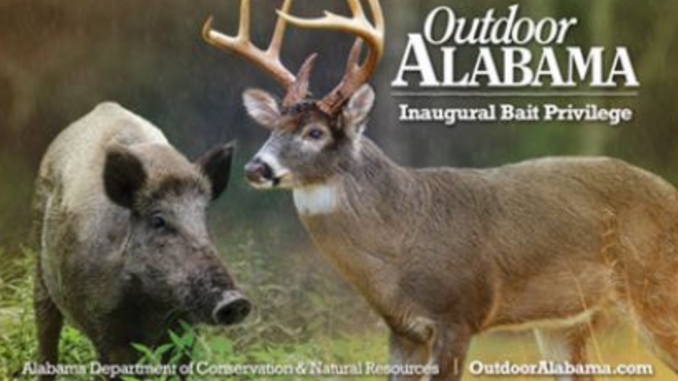 Alabama Hunting and Fishing licenses now offer collectible hard cards