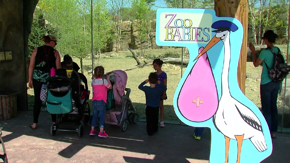 Moms get free admission to Cincinnati Zoo on Mother's Day WKRC