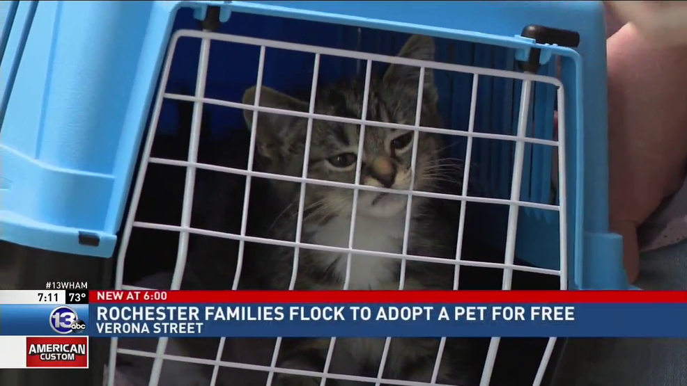 Rochester families flock to adopt a pet for free WHAM