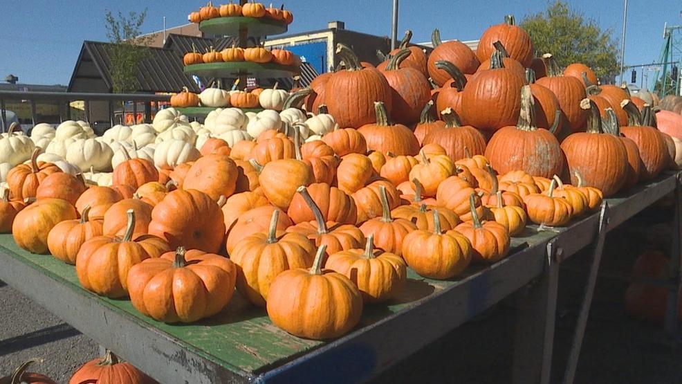 Ohio�s pumpkin harvest showing signs of weather