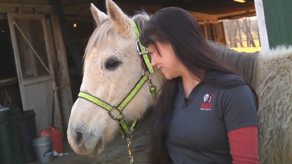 Former race horse suffers severe animal cruelty WCHS