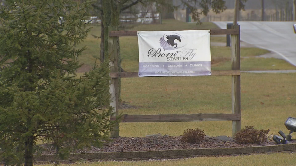 Horse owners say stable owner neglected animals for years - Dayton 24/7 Now