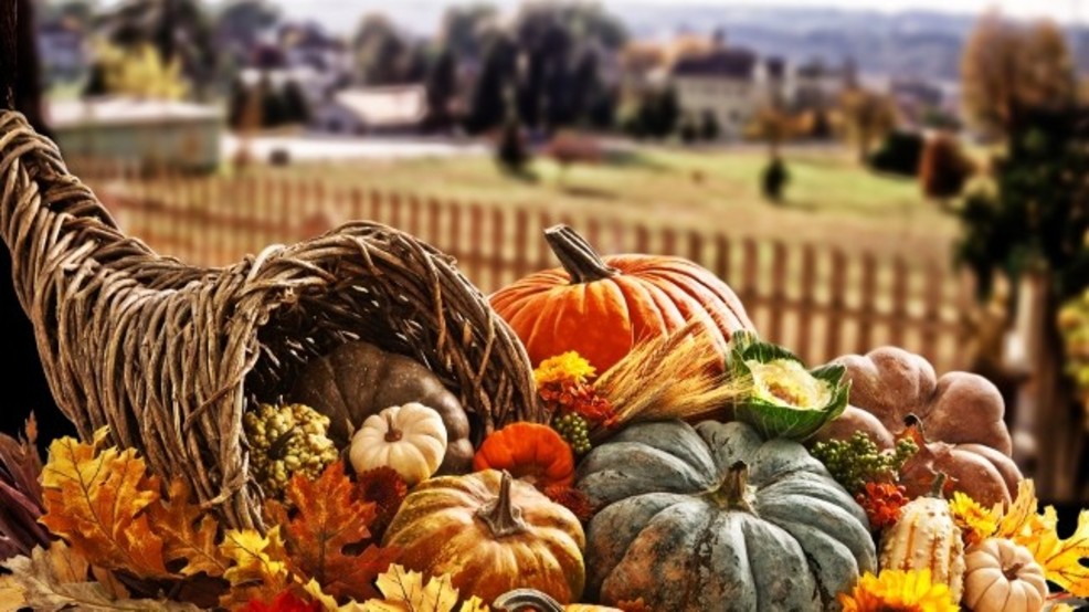 Thanksgiving this gourd's for you BLANK.jpg Thanksgiving this gourd's for you BLANK.jpg