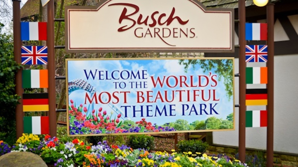 Busch Gardens Offering 50 Percent Off Tickets In October Wset