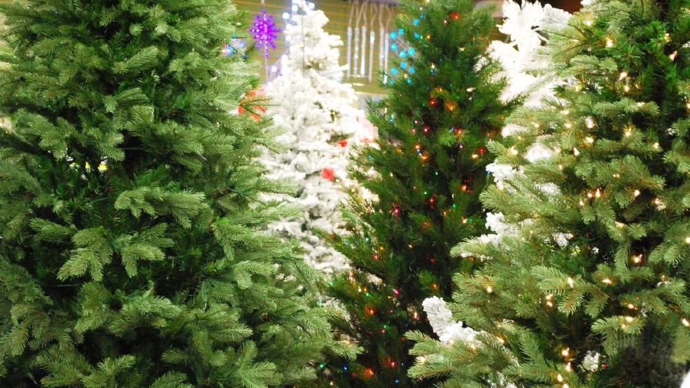 city provides christmas tree recycling program other city provides christmas tree recycling program other