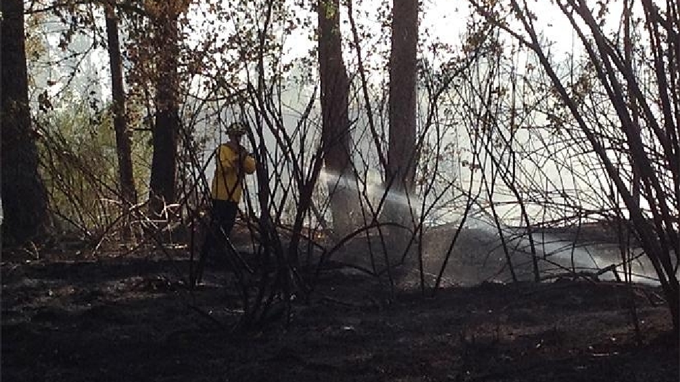 Crews flank fire near Creswell before it spreads to structures KVAL