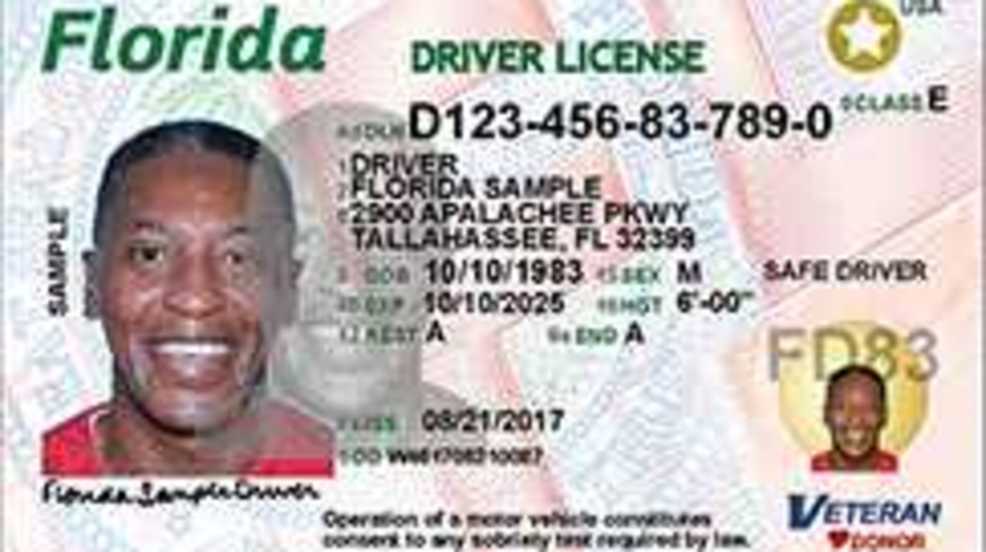 check my fl driver license status