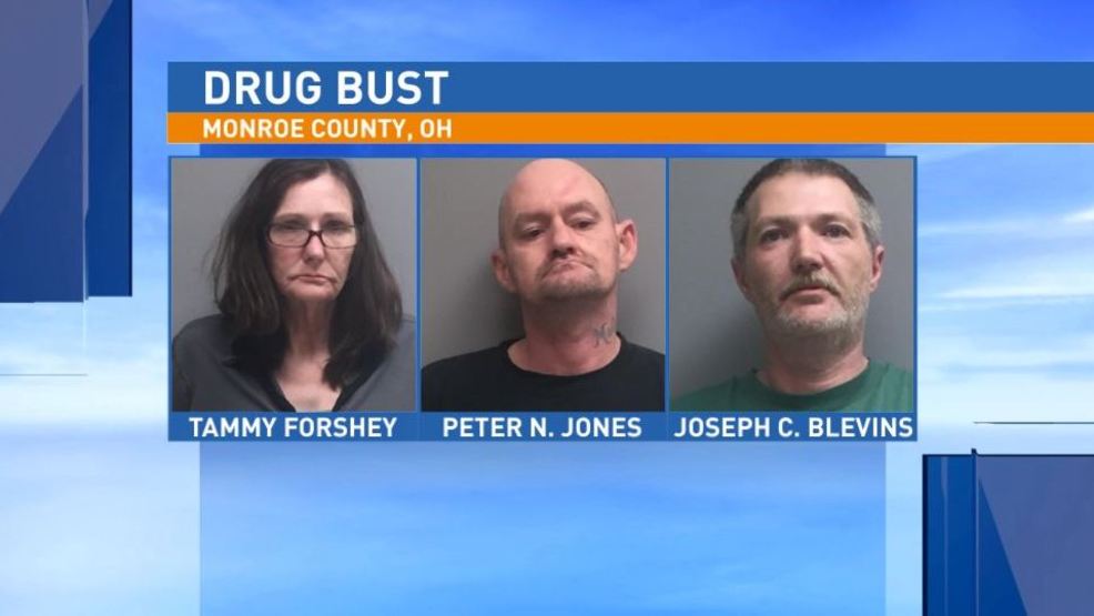 Three in custody following Monroe County drug bust WTOV