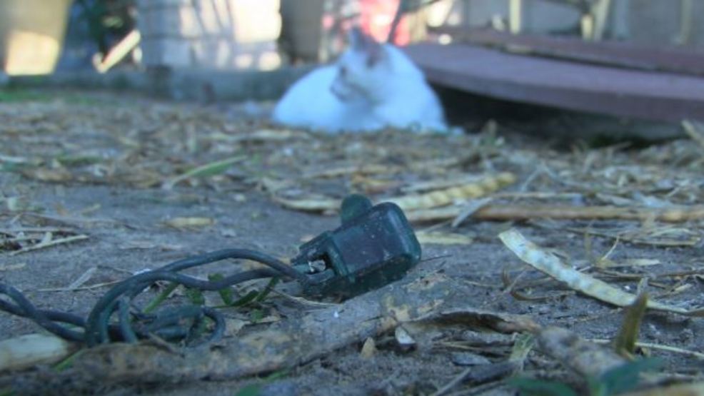 Only On Cbs 4 Mcallen Family In Shock After Lightning Struck Home