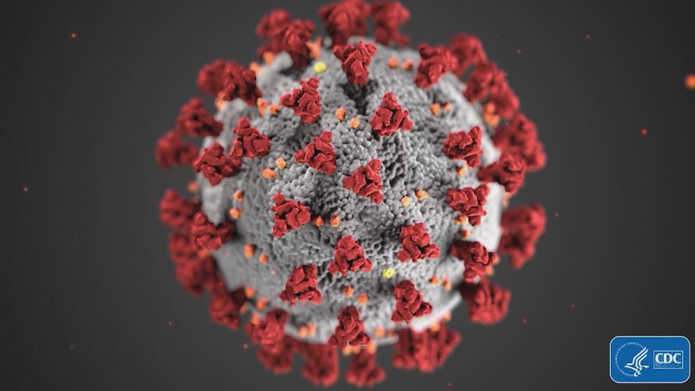 Cumulative coronavirus cases top 50,000 in Ohio - WKRC TV Cincinnati