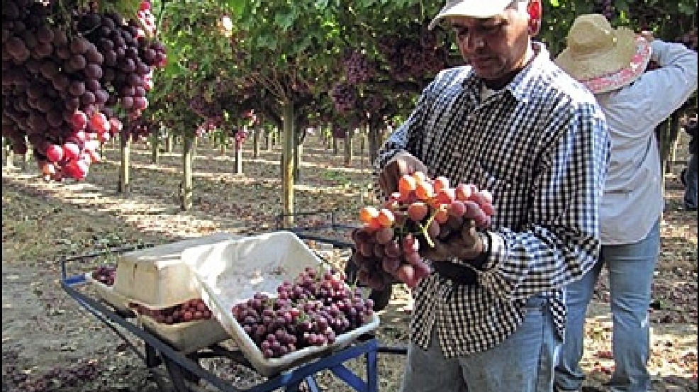 100927_immigration_jobs.jpg