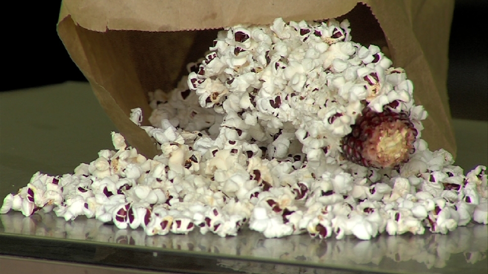 Inside the Story Riverton farm grows popcorn with its fruits