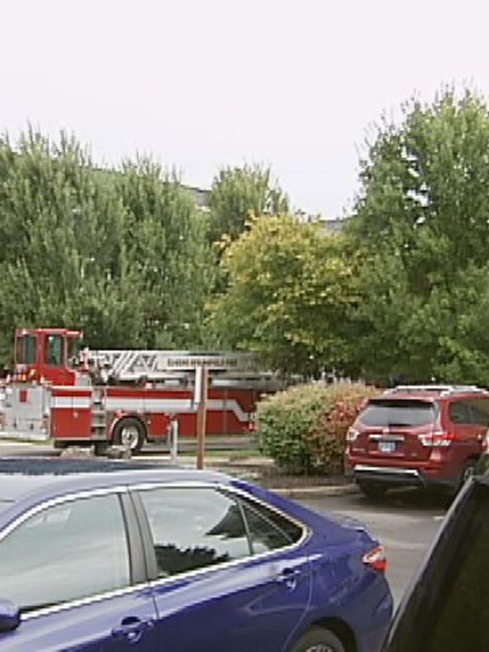 Sprinklers Put Out Stove Fire And Soaked Eugene Apartment