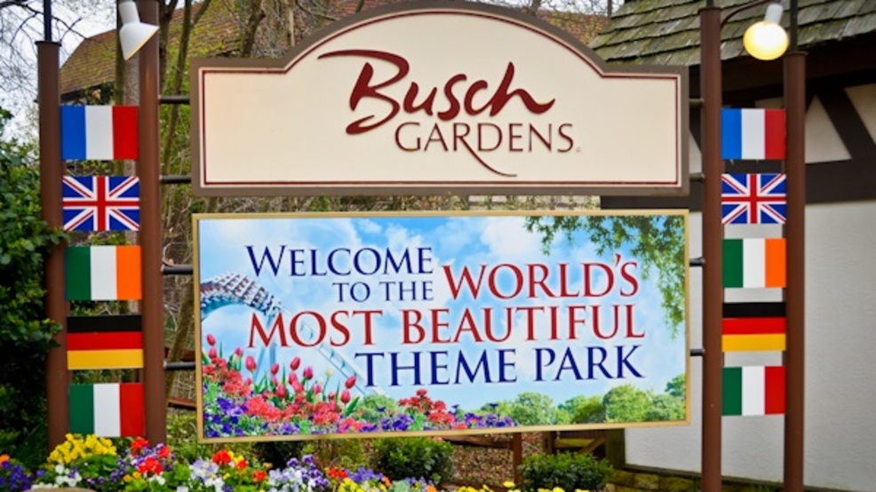 Busch Gardens Offering Free Admission To Kids Under 9 Wset