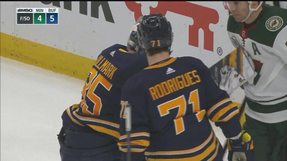 Image result for Sabres Wild