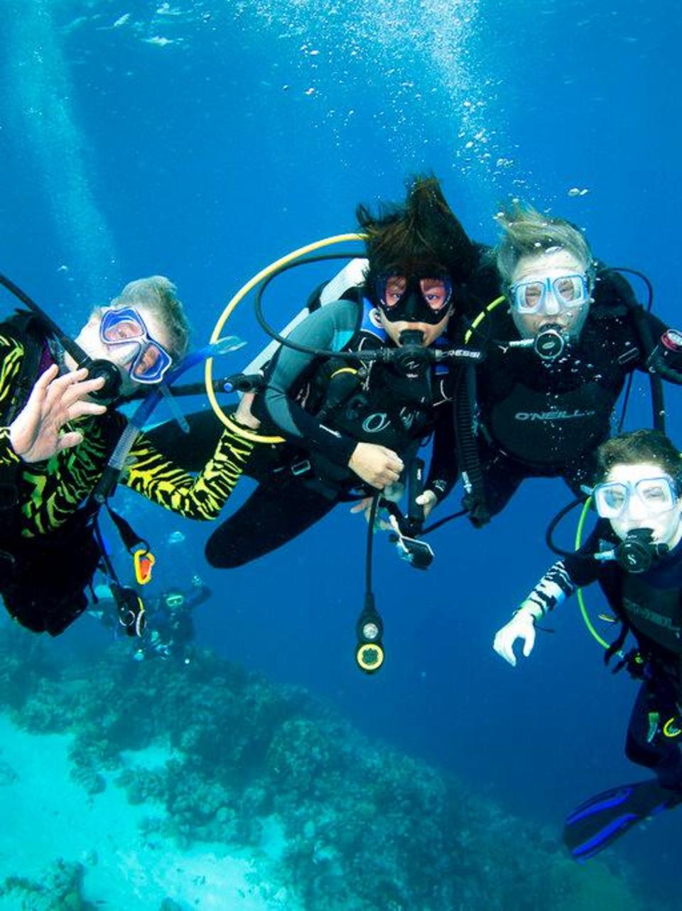 buddy dive bonaire on Pain Of Scuba Diving Deaths Off California Felt Across Globe Katu