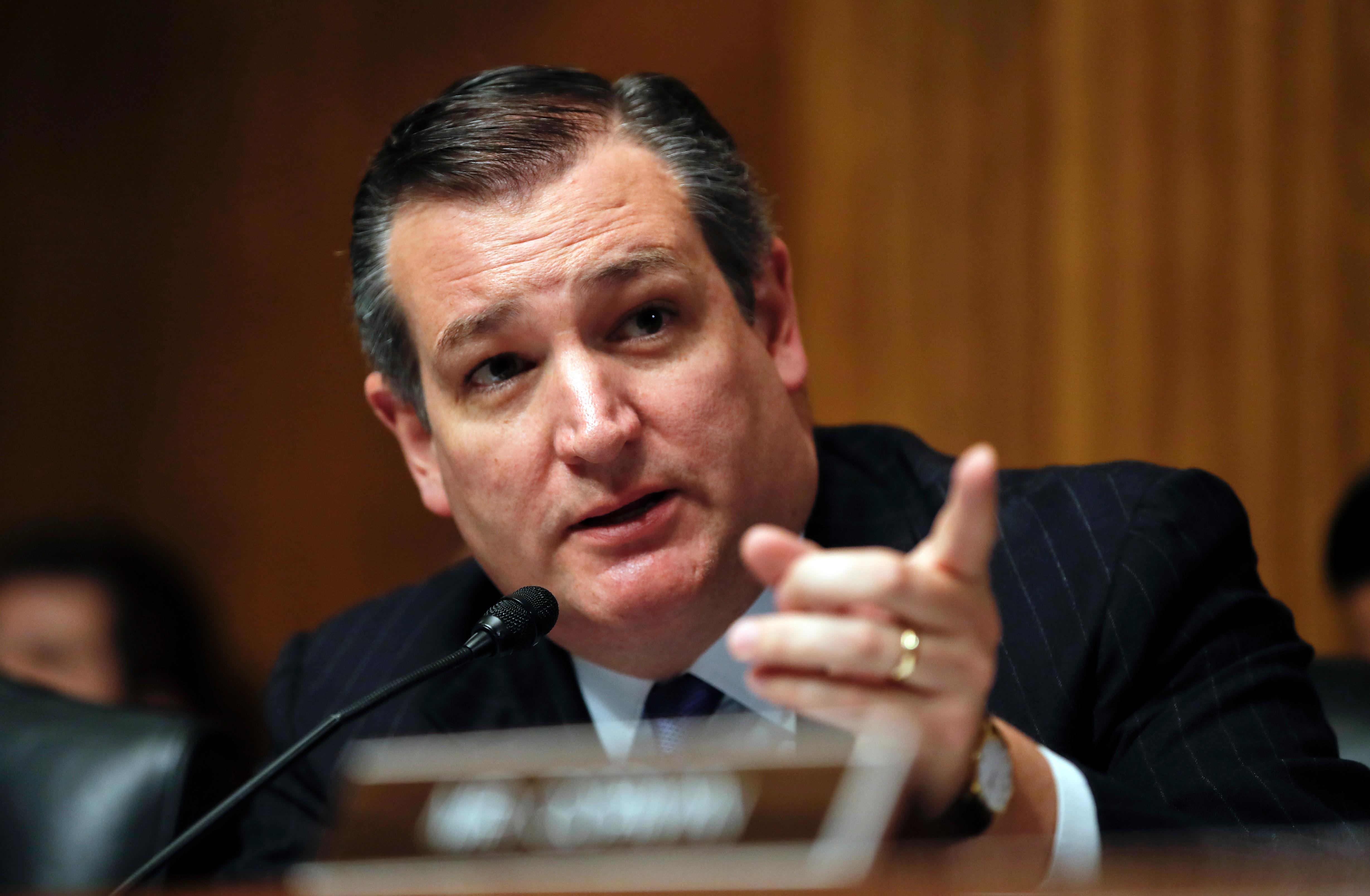 ted cruz, r-texas, speaks during a senate judiciary committee
