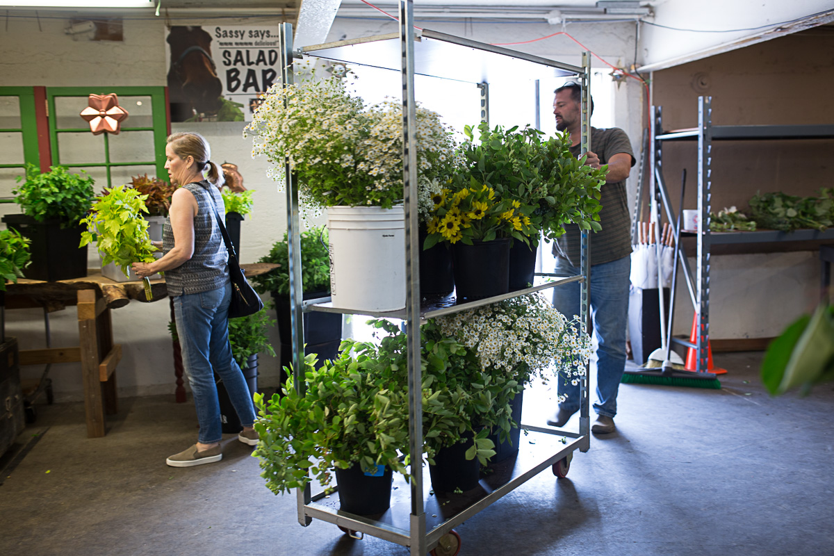 Seattle's glorious fieldtovase flower market Seattle Refined