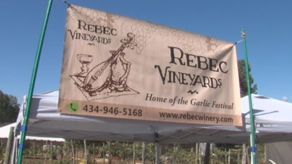 29th annual wine and garlic festival kicks off at Rebec Vineyards WSET