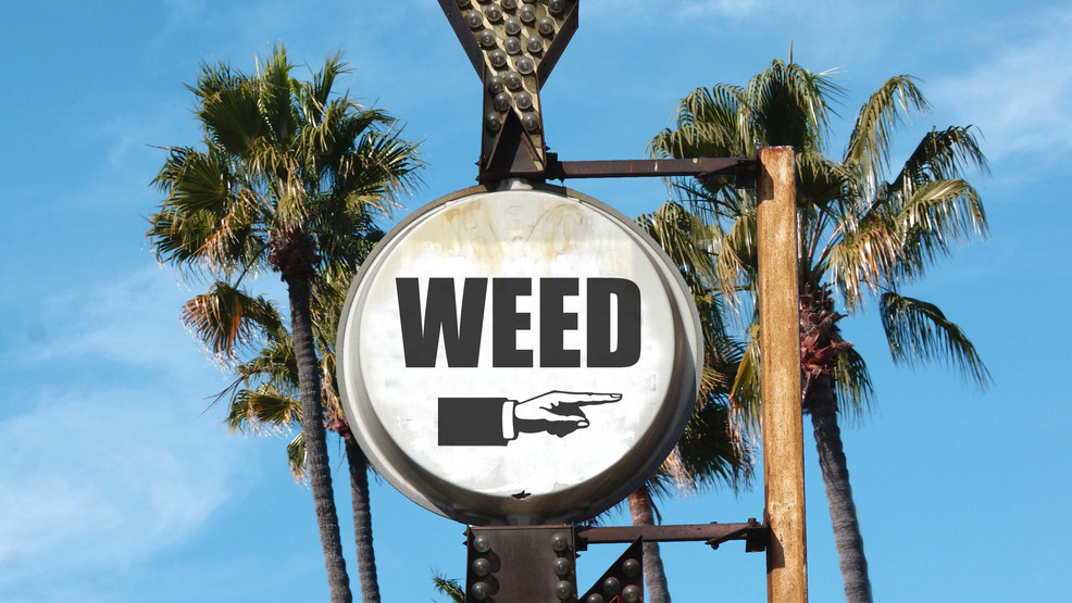 Bill banning marijuana advertising in Idaho passes Senate - Vimarsana News
